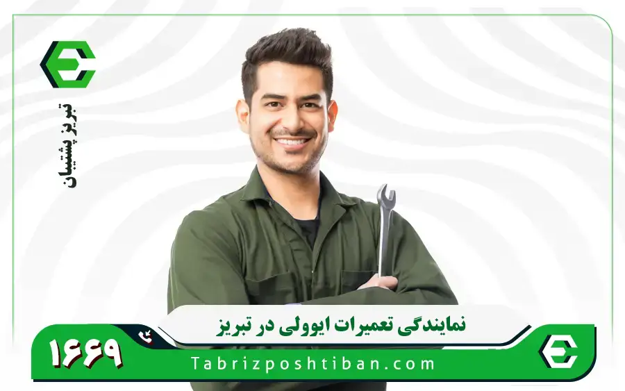 نمایندگی تعمیرات لوازم خانگی ایوولی در تبریز